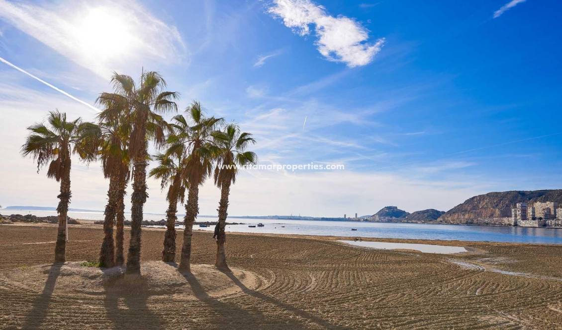 Neubau - Villa - Els Poblets - Partida Barranquets