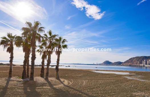 Neubau - Villa - Els Poblets - Partida Barranquets