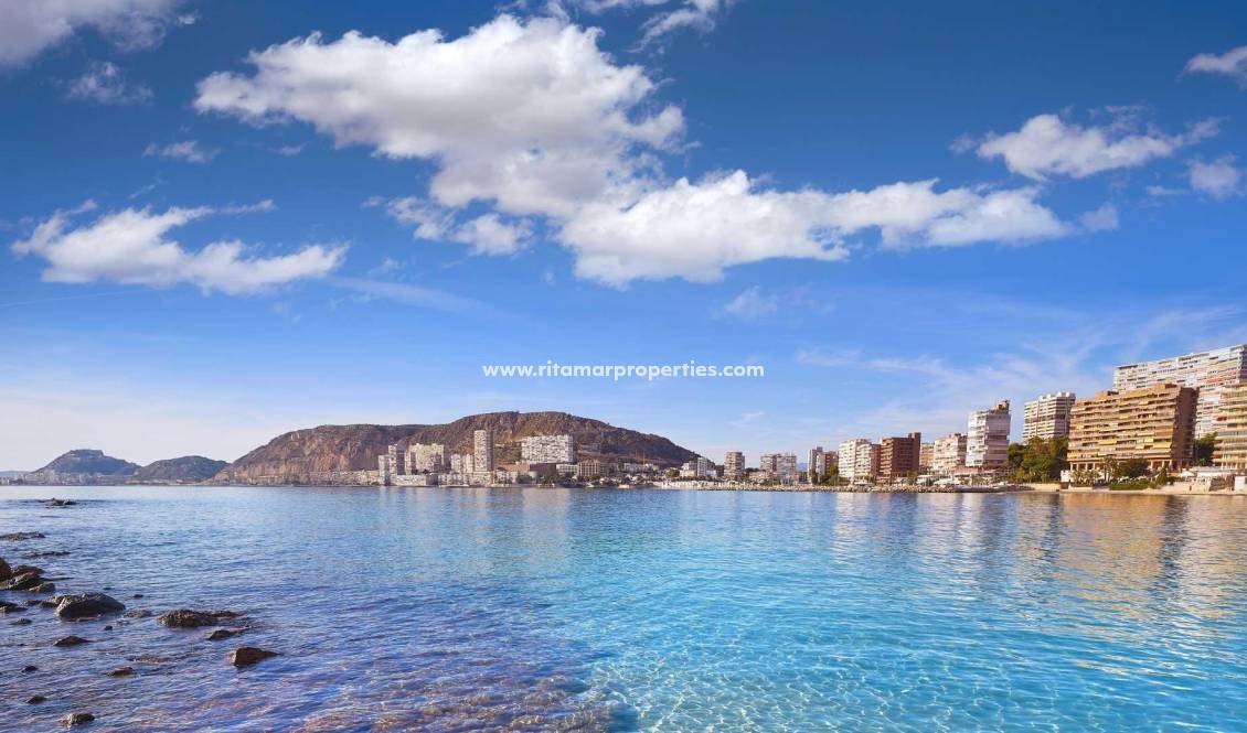 Neubau - Villa - Els Poblets - Partida Barranquets