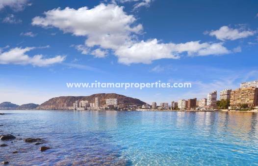 Neubau - Villa - Els Poblets - Partida Barranquets