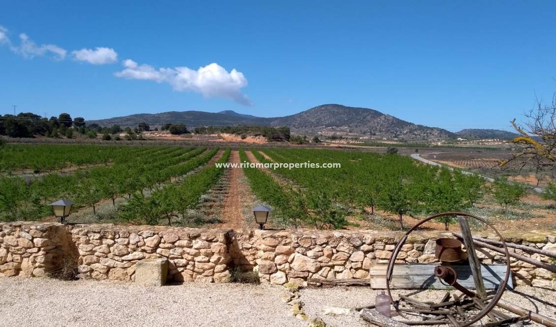 Weiterverkauf - Villa - Pinoso