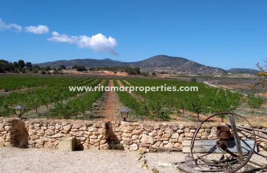 Weiterverkauf - Villa - Pinoso