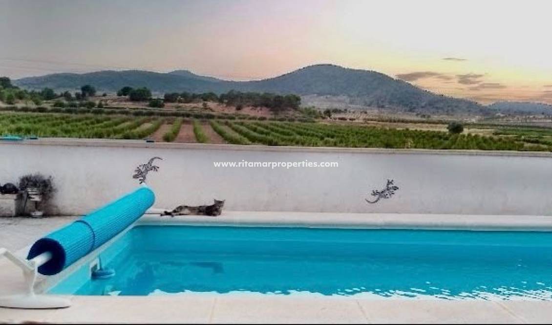 Weiterverkauf - Villa - Pinoso