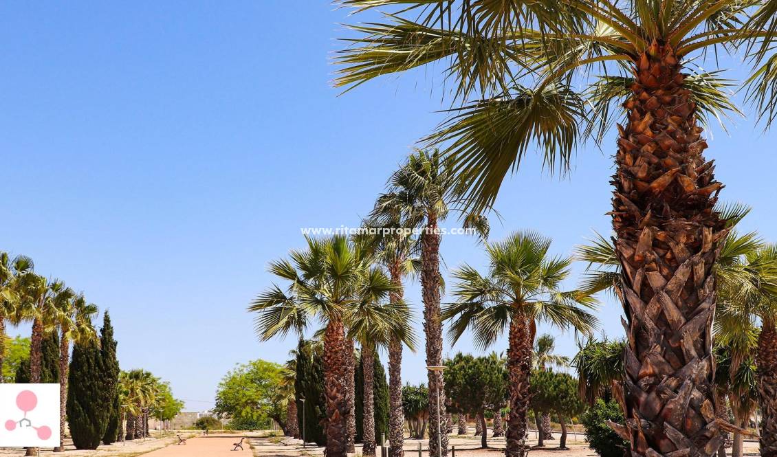  - Villa - San Fulgencio - La Escuera