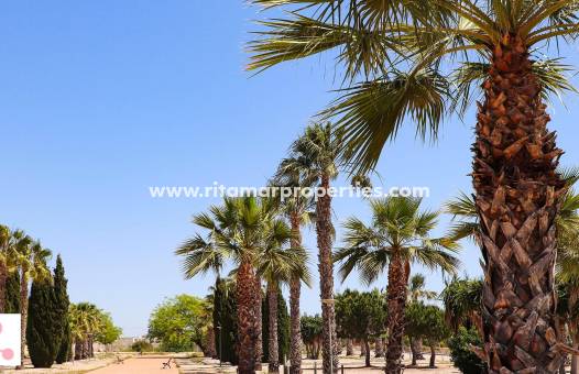  - Villa - San Fulgencio - La Escuera