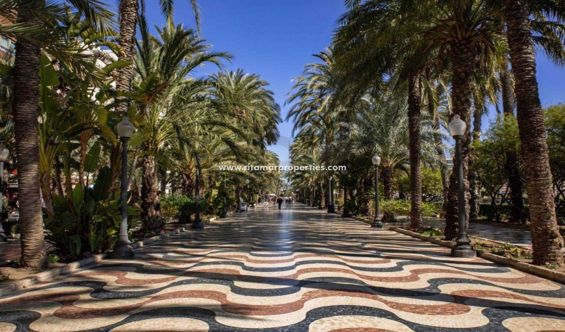  - Apartment - Alicante - Centro