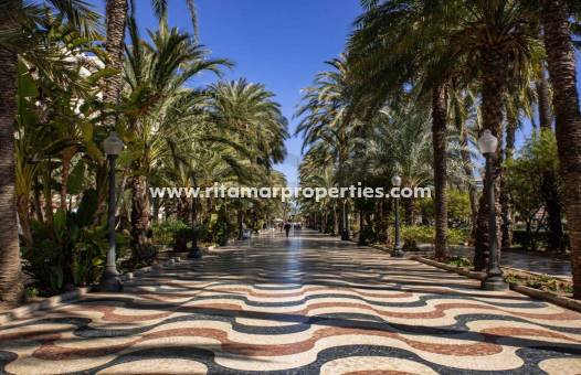  - Apartment - Alicante - Centro