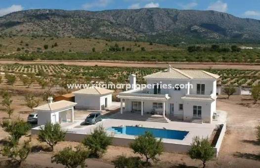  - Villa - Pinoso - Camino Del Prado