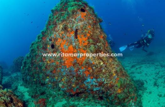  - Apartment - Águilas - Isla Del Fraile