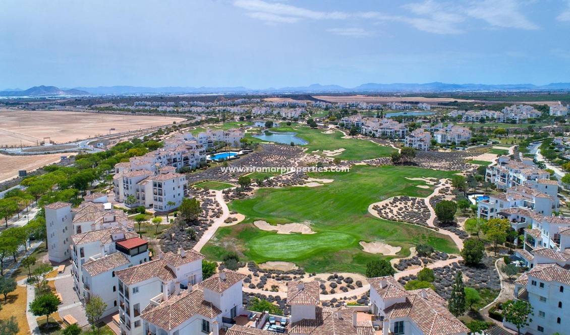 Nouvelle Construction - Villa - Sucina