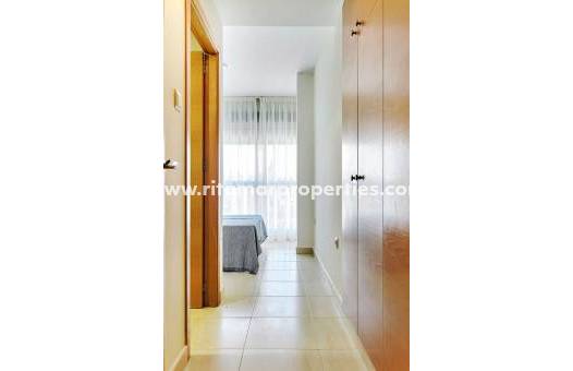  - Appartement - San Miguel de Salinas - San Miguel Salinas