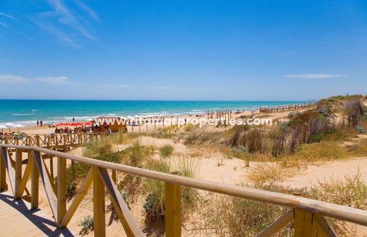  - Appartement - Guardamar del Segura - Pueblo