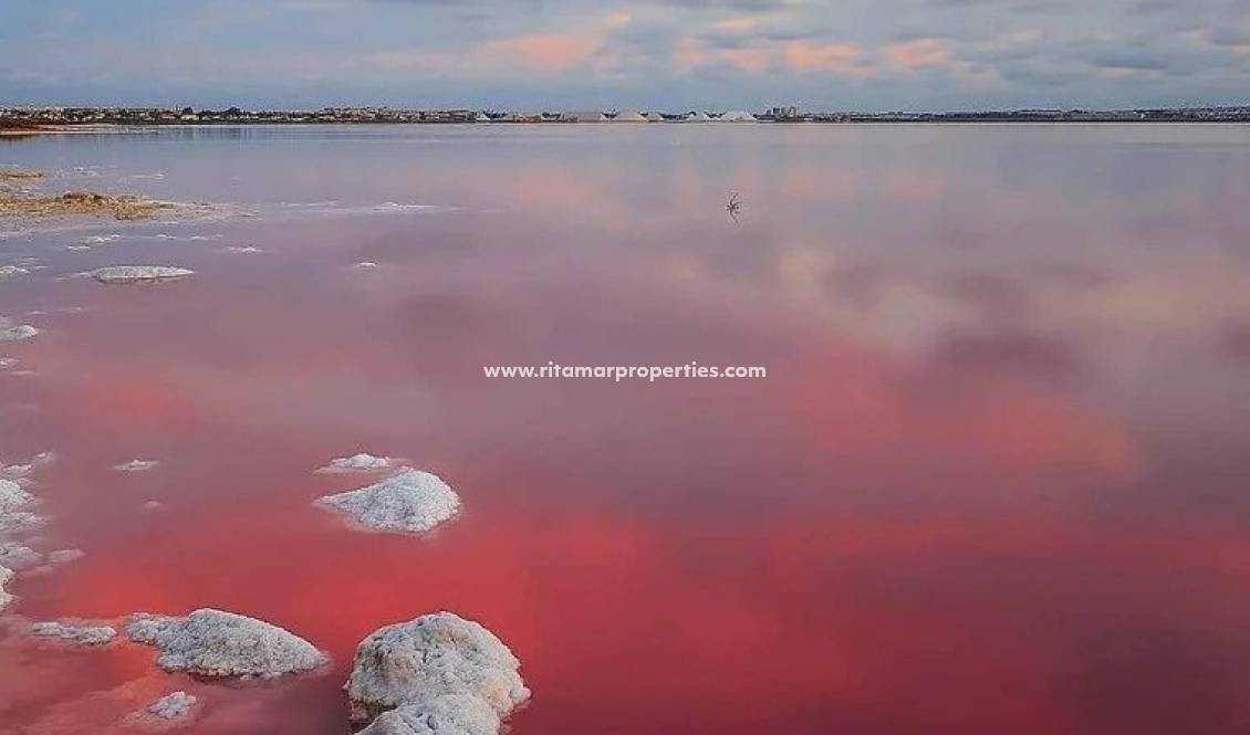 Nouvelle Construction - Bungalow - Torrevieja - Lago Jardín II