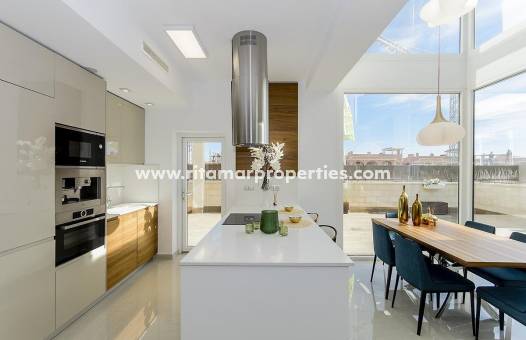 Neubau - Villa - Los Montesinos - La Herrada