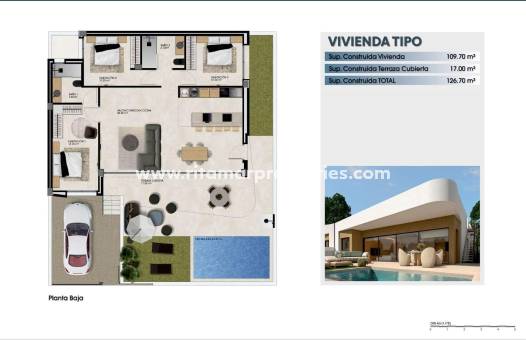  - Quad House - Dolores - Comunidad Valenciana