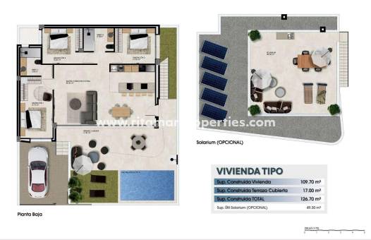  - Quad House - Dolores - Comunidad Valenciana