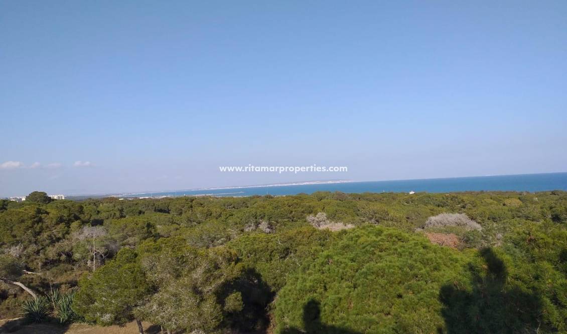  - Ground floor apartment - Guardamar del Segura - Pueblo