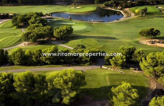 Obra Nueva - Villa - Pilar de la Horadada - Lo Romero Golf