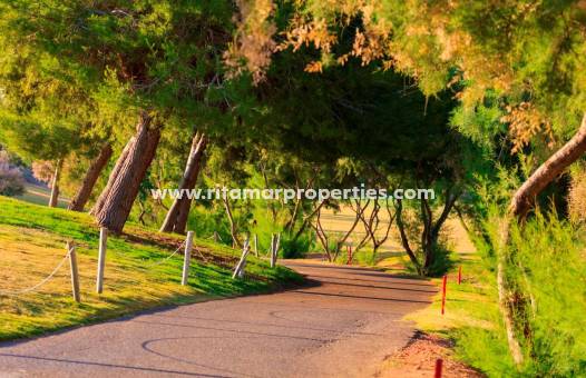 Obra Nueva - Villa - Pilar de la Horadada - Lo Romero Golf