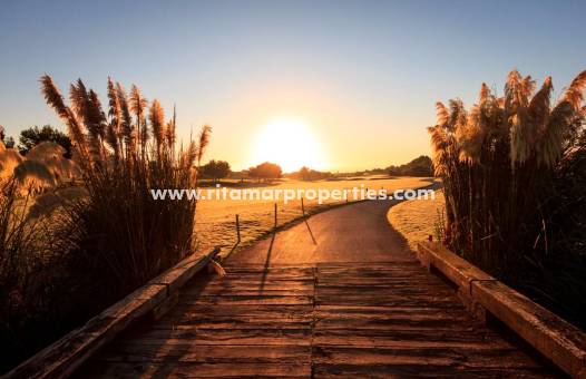 Obra Nueva - Villa - Pilar de la Horadada - Lo Romero Golf