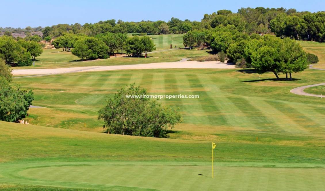 Obra Nueva - Villa - Pilar de la Horadada - Lo Romero Golf