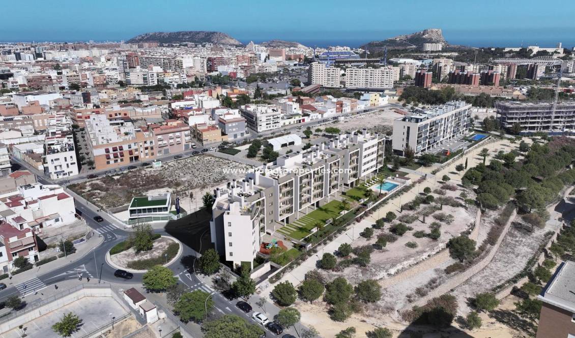 Obra Nueva - Penthouse - Alicante - San Agustín-PAU 2