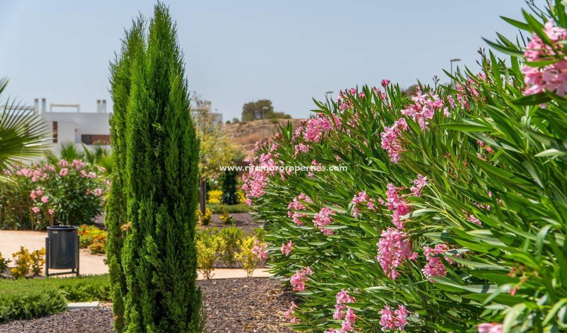  - Top Floor Bungalow - Orihuela - Vistabella Golf