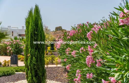  - Top Floor Bungalow - Orihuela - Vistabella Golf