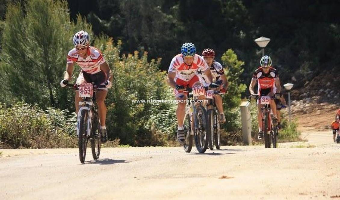  - Apartamento - Relleu - pueblo