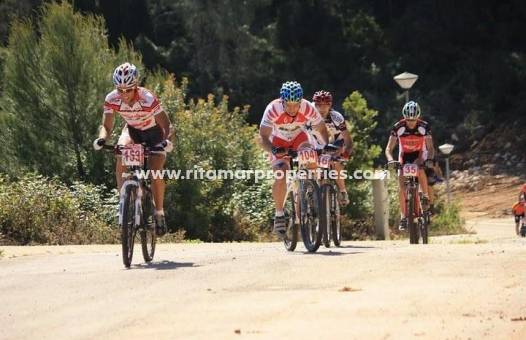  - Apartamento - Relleu - pueblo