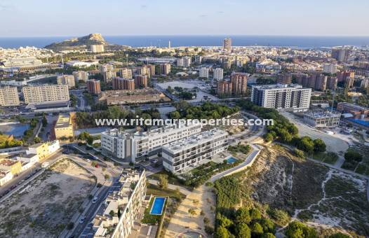  - Penthouse - Alicante - San Agustín-PAU 2