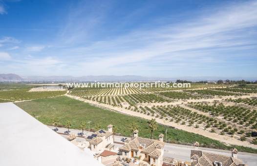  - Villa - Algorfa - La Finca Golf
