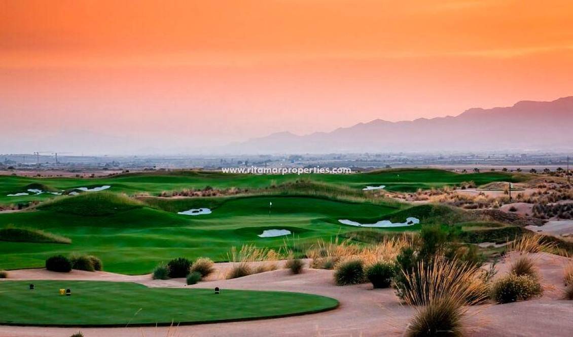 New build - Villa - Alhama De Murcia - Condado De Alhama