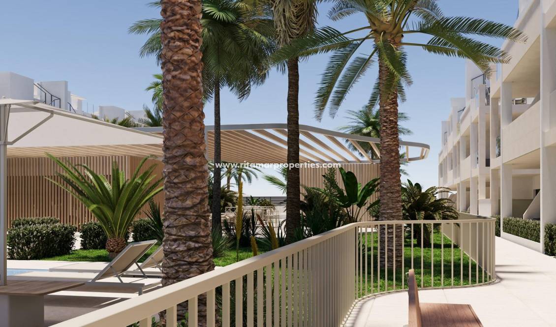 New build - Penthouse - Torre Pacheco - San Cayetano