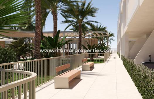  - Appartement - Torre Pacheco - San Cayetano