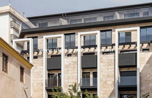 Obra Nueva - Penthouse - Murcia - Centro