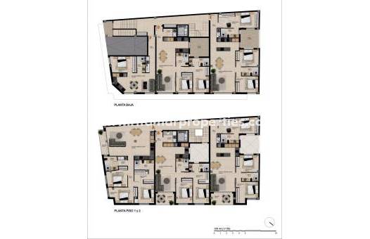 Obra Nueva - Penthouse - Catral - pueblo