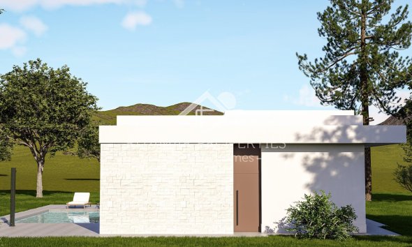 New build - Villa - Pinoso - Lel