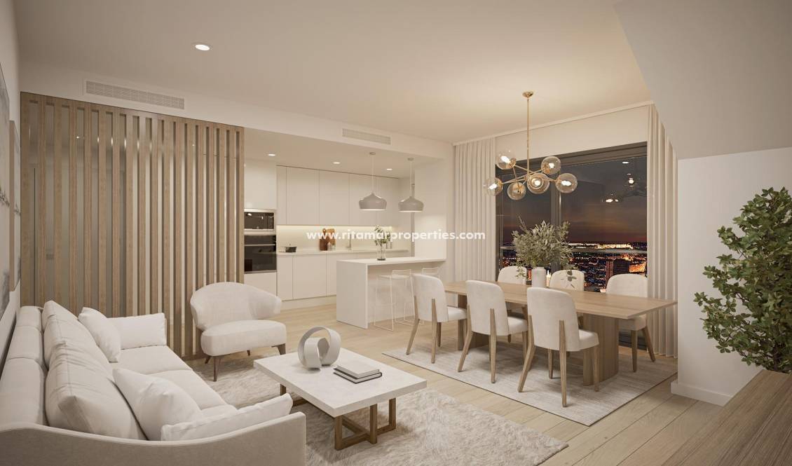  - Penthouse - Alicante - San Agustín-PAU 2