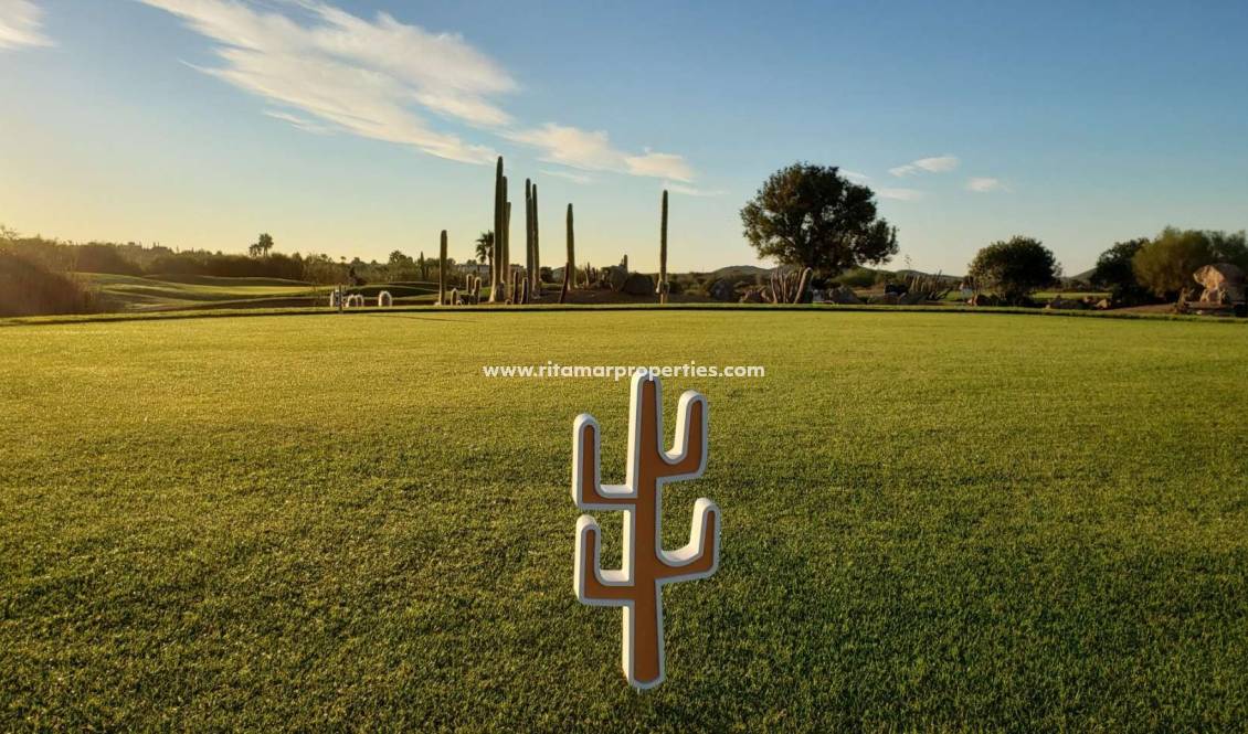 Neubau - Villa - Cuevas del Almanzora - Villaricos