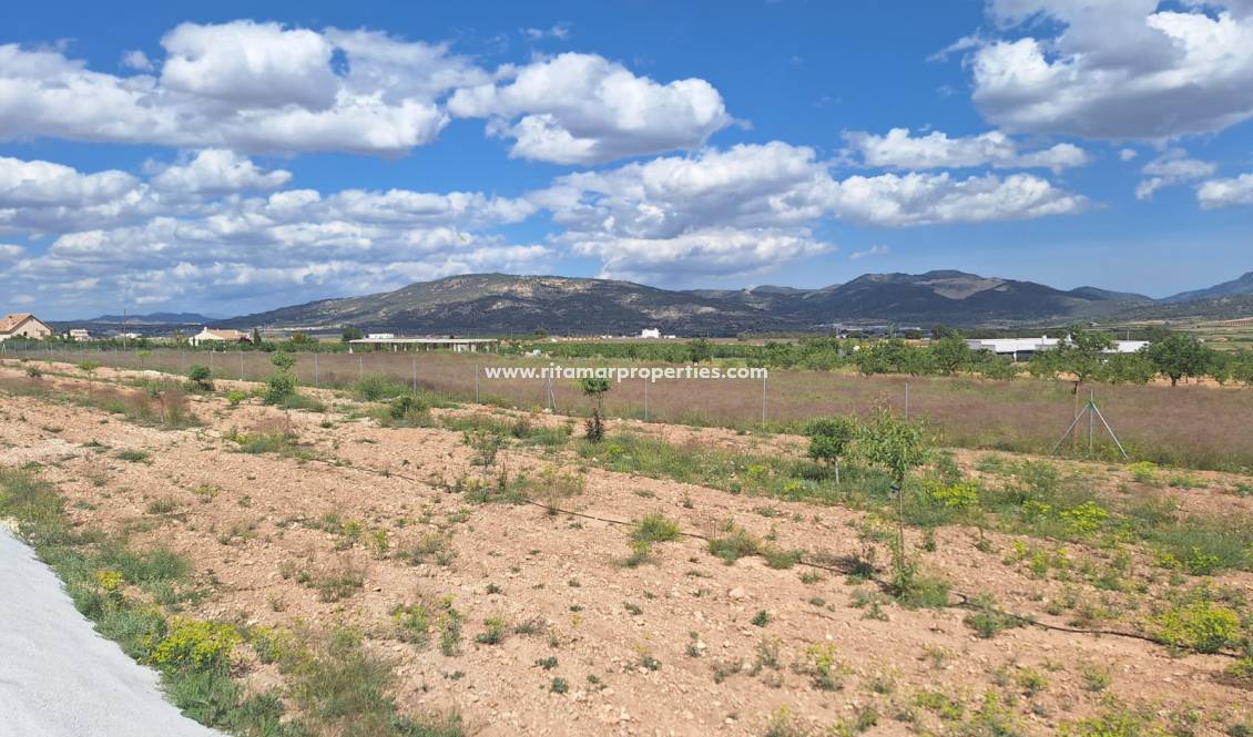 Sale - Villa - Pinoso