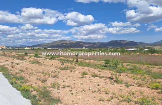 Sale - Villa - Pinoso