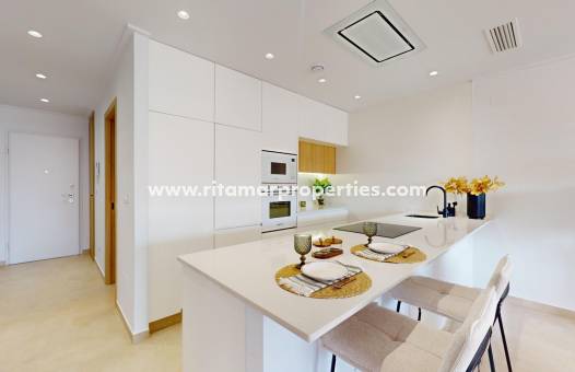 Nieuwbouw - Penthouse - Guardamar del Segura - El Raso