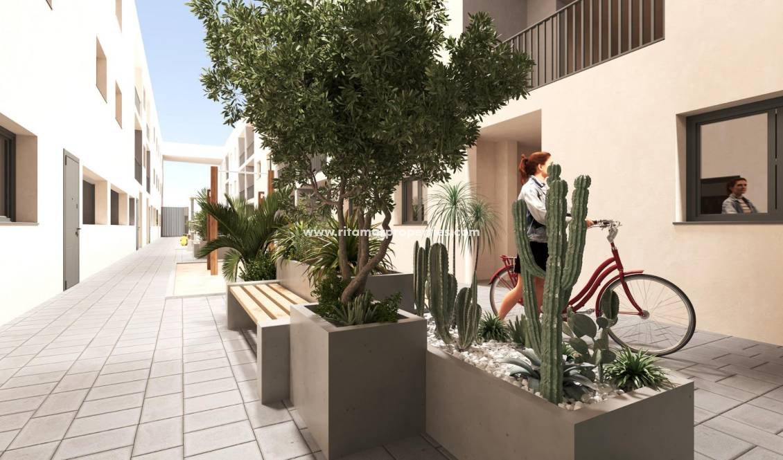  - Appartement - San Miguel de Salinas - Pueblo