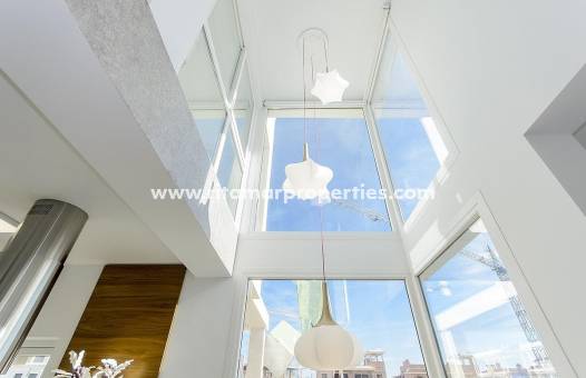 Nieuwbouw - Villa - Los Montesinos - La Herrada