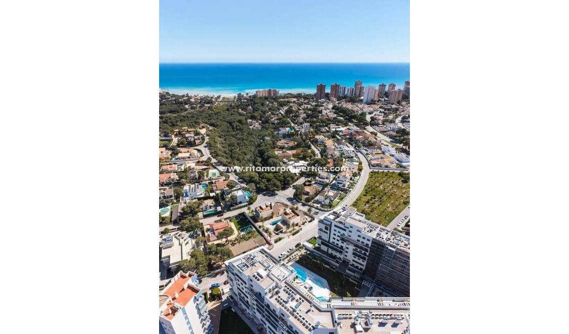 Neubau - Villa - Orihuela Costa - Dehesa de Campoamor