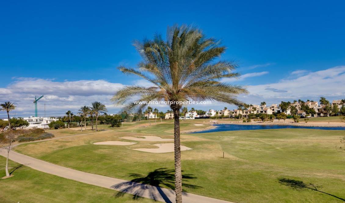 Obra Nueva - Villa - Pilar de la Horadada - Roda Golf