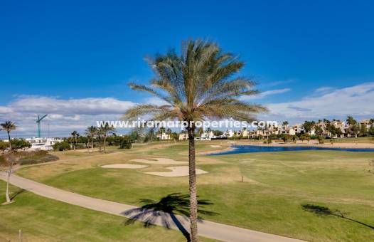 Obra Nueva - Villa - Pilar de la Horadada - Roda Golf