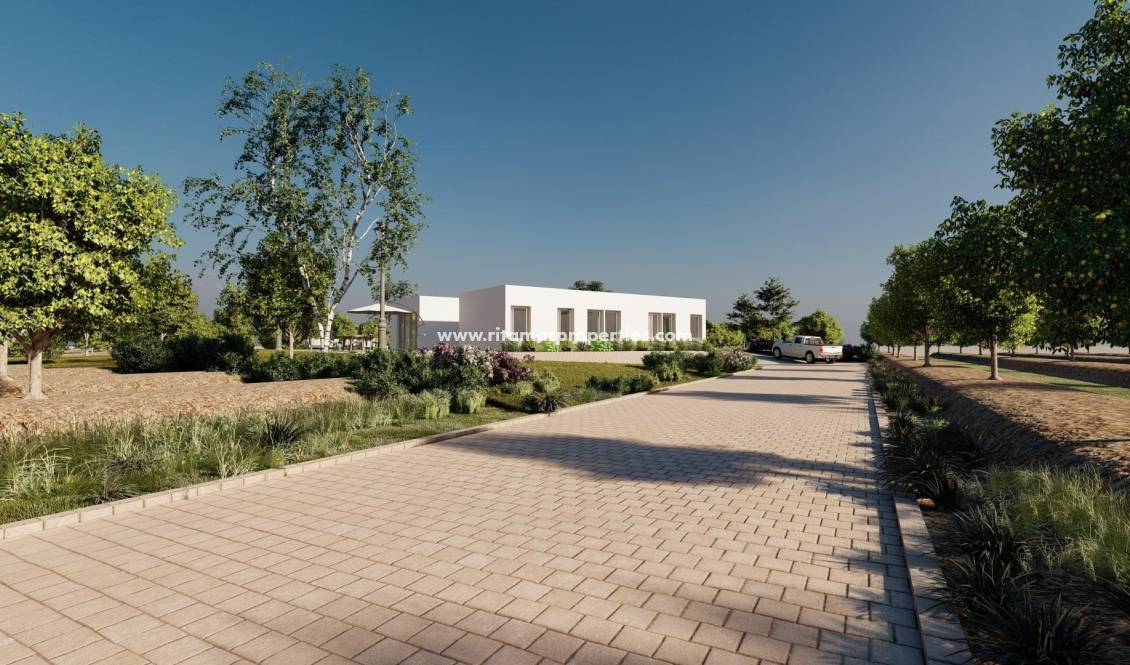  - Villa - Benejúzar - Huerta
