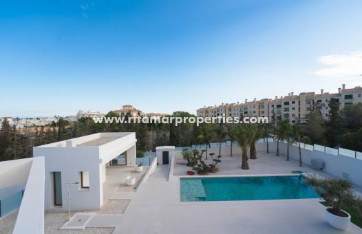  - Villa - Benejúzar - Huerta